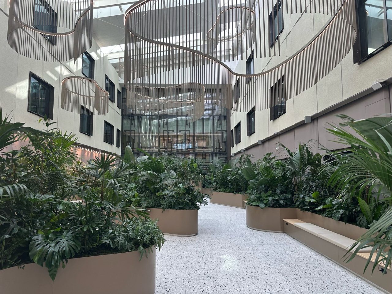 Tōtara Haumaru 1